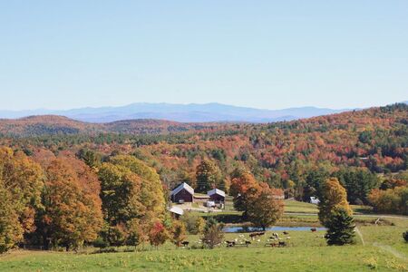Head Waters Farm in Newbury, Vermont . 100% grassfed beef, 100% grassfed lamb, pure vermont maple syrup, pastured poultry